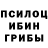 Псилоцибиновые грибы мухоморы Anna Shestak