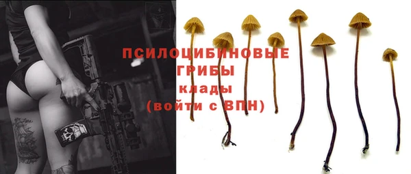 дистиллят марихуана Магас