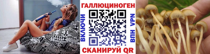 Купить закладки  Ясногорск  Галлюциногенные грибы мухоморы 
